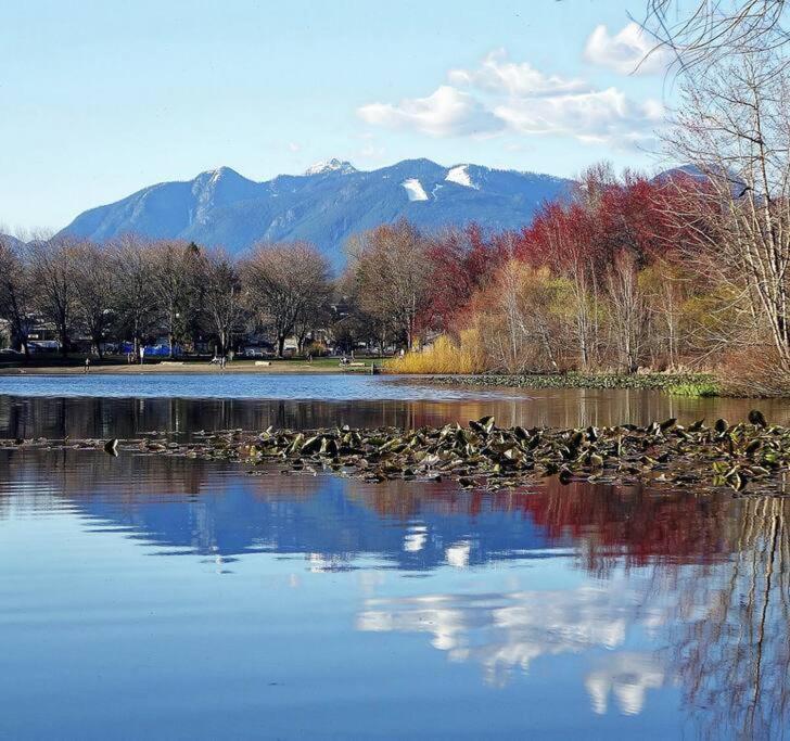 Centrally Located, Modern, 2 Bedroom Home Vancouver Esterno foto